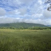 Bán Đất Cây Lâu Năm 1.350M2 Giá Chỉ 430 Triệu Xã Khánh Hiệp, Khánh Vĩnh Liên Hệ: 0788.558.552