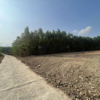 Bán Đất Cây Lâu Năm 1.350M2 Giá Chỉ 430 Triệu Xã Khánh Hiệp, Khánh Vĩnh Liên Hệ: 0788.558.552