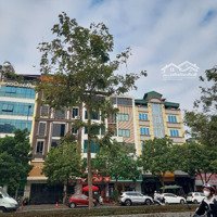 Cho Thuê Nhà Mặt Phố Trần Kim Xuyến. Diện Tích 90M2 X 5 Tầng
