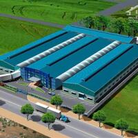 Cho Thuê 3.500m2 – 5.000m2 Nhà Xưởng Trong KCN Bàu Bàng Bình Dương