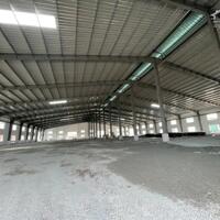 Cho Thuê 3.500m2 – 5.000m2 Nhà Xưởng Trong KCN Bàu Bàng Bình Dương