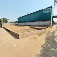 Chính Chủ Cần Bán Đất Đẹp, Tự Nhiên, Thường Tín, Hn Diện Tích: 112M2 Ngõ 3M Ô Tô Đỗ