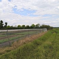 Bán Đất Đường Xuân Thới Thượng, 35 Tỷ, 16170 M2, Hóc Môn, Giá Cực Chất