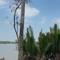 4,379M2 Mặt Tiền Sông Mekong Thích Hợp Xây Kdl Nghỉ Dưỡng Sinh Thái Ven Sông. 450 Triệu/ Công