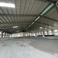 Cho Thuê 3.500m2 – 5.000m2 Nhà Xưởng Trong KCN Bàu Bàng Bình Dương