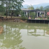 Bán Trang Trại, Khu Nghỉ Dưỡng Tại Đường 35, Xã Nam Sơn, Sóc Sơn, Hà Nội, 16 Tỷ, 6000 M2
