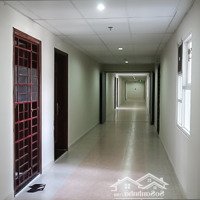 Bán Cc Bàu Cát Ii, Chỉ 2.65 Tỷ, 60M2, 2 Phòng Ngủ 1 Vệ Sinh Đầy Đủ Nội Thất