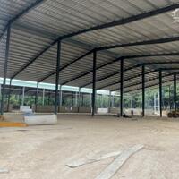 Cho Thuê 14.500m2 Kho Xưởng Mới 100% Tại Phú Giáo Bình Dương Giấy Tờ Đầy Đủ