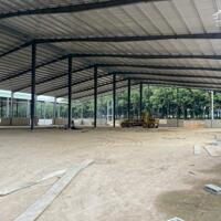 Cho Thuê 14.500m2 Kho Xưởng Mới 100% Tại Phú Giáo Bình Dương Giấy Tờ Đầy Đủ