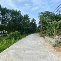 Đất Xây Nhà Vườn Mini Sau Ủy Ban Xã Hòa Ninh, 232M2 Đất Ở Ngang 10M Gầndiện Tích602