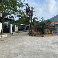 Đất Xây Nhà Vườn Mini Sau Ủy Ban Xã Hòa Ninh, 232M2 Đất Ở Ngang 10M Gầndiện Tích602