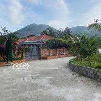 Đất Xây Nhà Vườn Mini Sau Ủy Ban Xã Hòa Ninh, 232M2 Đất Ở Ngang 10M Gầndiện Tích602