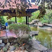 Chính Chủ Cần Bán Khu Nghỉ Dưỡng 1.1 Hecta (11.000M2) Long Phước Tp Bà Rịa. Sổ Hồng Thổ Cư Giá Rẻ