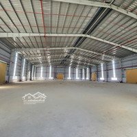 Cho Thuê Nhà Xưởng Trong Khu Công Nghiệp Đồng Phú Bình Phước
