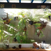 Bán Nhà Quốc Lộ 13, Đối Diện Kdc Vạn Phúc,Diện Tích90M2, Giá Nhỉnh 5 Tỷ Thương Lượng