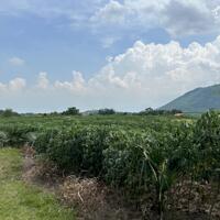 Cần bán 590m² đất ở ngã 4 Tân Sơn, Ninh Xuân, đối diện khu công nghiệp Ninh Xuân