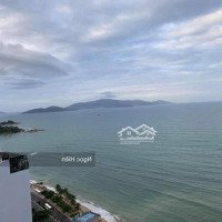 Bán Nhanh Căn Hộ Scenia Bay Nha Trang, 1 Phòng Ngủ Cộng, 59M2, Liên Hệ: 0816 233 268
