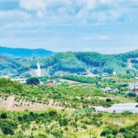 Cần Bán Miếng Đất 165M2 Tại Xã Đông Thanh.view Đồi Thông Xanh Mát Nhìn Về Tượng Phật Giá Chỉ 650 Triệu.