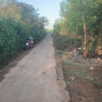 Bán Trang Trại, Khu Nghỉ Dưỡng Đẹp, Nhiều Tiện Ích Tại Xuân Phú, Cẩm Mỹ, Đồng Nai, 650 Triệu, 1000M2