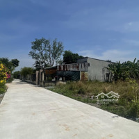 Bán Đất Vườn Có Thổ Cư Tại Phước An, Nhơn Trạch, Đồng Nai, Giá Siêu Hời Chỉ Với 3,049 Tỷ, 388 M2