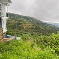 Bán Đất Nền Biệt Thự 325M2 Tại Xuân Trường, Đà Lạt, 28 Triệu/M2 (Chính Chủ)