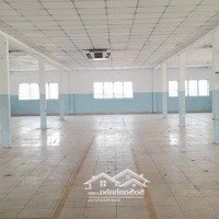 Cho Thuê Kho, Nhà Xưởng 4000M2 Tại Đường Phan Văn Hớn, Quận 12, Giá Siêu Hời 150 Triệu Vnd