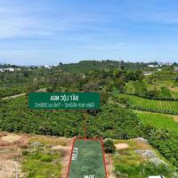 Đất Tp Bảo Lộc, view núi Đại Bình, cách ql20 1,3km có 200m thổ cư