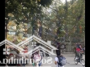 Siêu Phẩm 5 Tầng Nguyễn Khuyến Chỉ 19,5 Tỷ, 85M2, Mặt Tiền 4,5M Kinh Doanh Đỉnh. Lh Công 0931706698