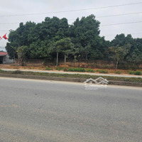 Bán Đất Tại Hoàng Hoa, Tam Dương, Vĩnh Phúc, Giá Ưu Đãi 35 Tỷ, 5000M2