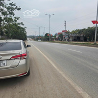 Bán Đất Tại Hoàng Hoa, Tam Dương, Vĩnh Phúc, Giá Ưu Đãi 35 Tỷ, 5000M2
