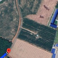 832M2 Tại An Linh - Phú Giáo Giá Bán 1,1 Tỷ Có Thương Lượng. Sổ Hồng Riêng Có 300M Thổ Cư