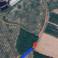 832M2 Tại An Linh - Phú Giáo Giá Bán 1,1 Tỷ Có Thương Lượng. Sổ Hồng Riêng Có 300M Thổ Cư