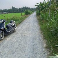 Cần Bán Gấp Lô Đất - Bình Tây, Thạnh Nhựt, Tiền Giang. Diện Tích: 212M2