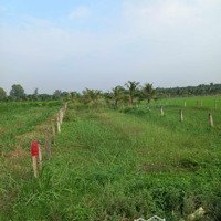 Cần Bán Gấp Lô Đất - Bình Tây, Thạnh Nhựt, Tiền Giang. Diện Tích: 212M2