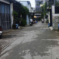 Chủ Về Quê Sống Cần Bán Gấp Nhà Hẻm 4M Đường Bùi Thị Xuân, Tân Bình.diện Tích101M2