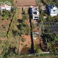Bán Đất Gần 1000M2 Sẵn Thổ Cưmặt Tiềntrần Quí Cáp _ Đamri