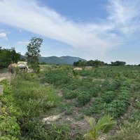 Bán Lô Đất Có Diện Tích 650 M2 Tại Ninh Xuân, Ninh Hòa, Khánh Hòa