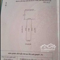 Bán Đất Mặt 208 Vị Trí Đẹp Sát Hoàng Huy Kinh Doanh Buôn Bán Bao Phong Thuỷ Quy Hoạch