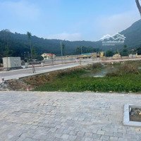 Chính Chủ Bán Lô Đất Mặt Đường Thành Đạt (20,5M) Đường Lớn Tiện Kinh Doanh Buôn Bán