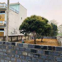Bán Gấp Đất Kinh Mặt Đường Nhựa Đất Full Thổ Cư Tại Phú Mãn Quốc Oai, Hà Nội Sầm Uất Nhất Hiện Nay
