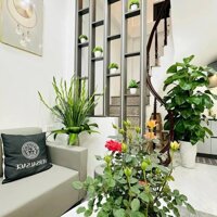 Nhà Đẹp Ở Luôn Ngõ Văn Hương, Đống Đa 21m, 5 tầng, mt 3.5m, giá 4.95 tỷ.