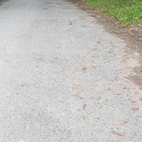 Bán Lô Đất Tặng Gpxd Đường Nhựa Xã Bình Mỹ, Củ Chi, 84M2, Shr, 780 Triệu.