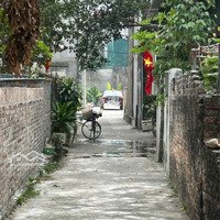 Đất Đông Anh Giá Chỉ Hơn 40 Tr/M2 Ngõ Ô Tô