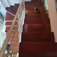 Bán Nhà Liền Kề 4 Tầng Đẹp 60M2 Khu Đấu Giá Sân Bóng Mậu Lương - Hà Đông ..Giá Tốt , Dân Xây..