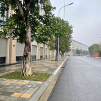 Shophouse Đại Lộ Hừng Đông Đường 25M Vinhomes Ocean Park3 Đầu Tư Hôm Nay, Lợi Nhuận Mãi Mãi!