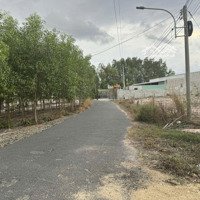 Bán 2500M2 Thổ Vườn Tại Xã Tóc Tiên, Phú Mỹ, Bà Rịa Vũng Tàu. 6,7 Tỷ Ngay Cạnh Nút Giao Mỹ Xuân