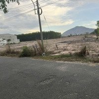 Bán 2500M2 Thổ Vườn Tại Xã Tóc Tiên, Phú Mỹ, Bà Rịa Vũng Tàu. 6,7 Tỷ Ngay Cạnh Nút Giao Mỹ Xuân