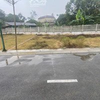 Chỉ Với Hơn 1 Tỷ Tiểu Học Sở Hữu Ngay Lô Đất 72.8M2 Tại Thôn Phú Hạ Xã Minh Phú Sóc Sơn
