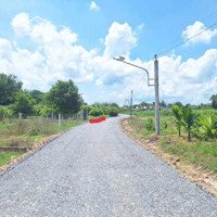 Bán Đất Tại Xã Phước Thạnh, Gò Dầu, Tây Ninh, Giá Cực Chất 700 Triệu, 716.5 M2