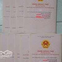 Chính Chủ Cần Bán Gấp Đất Mặt Tiền Đường Nhựa Tại Thị Trấn Ma Đa Guôi, Đạ Huoai, Lâm Đồng